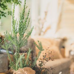 鶴見ノ森 迎賓館の写真36枚目