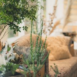 鶴見ノ森 迎賓館の写真7枚目