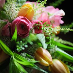 ザ ナンザンハウスの写真2枚目