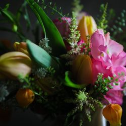 ザ ナンザンハウスの写真18枚目