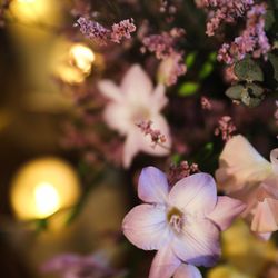 ザ ナンザンハウスの写真34枚目