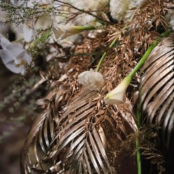 ザ・リッツ・カールトン大阪の写真36枚目