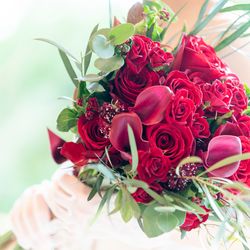 メゾン・ド・タカ 芦屋の写真25枚目