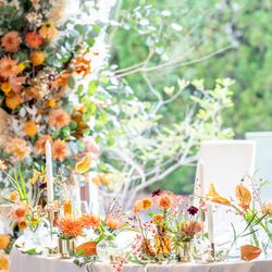 メゾン・ド・タカ 芦屋の写真5枚目