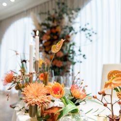 メゾン・ド・タカ 芦屋の写真26枚目