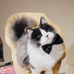 パレスホテル東京の写真28枚目