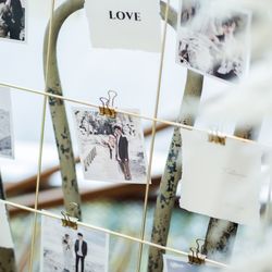 ミエルクローチェの写真19枚目