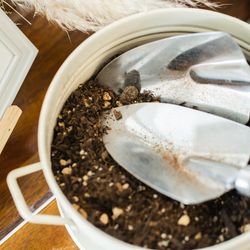 ミエルクローチェの写真24枚目