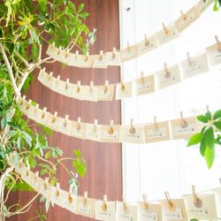 ミエルクローチェの写真30枚目