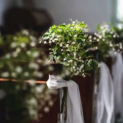 ミエルクローチェの写真22枚目