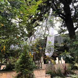 アーカンジェル代官山の写真19枚目