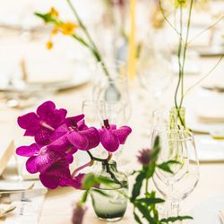 アルカンシエル ベリテ 大阪の写真25枚目