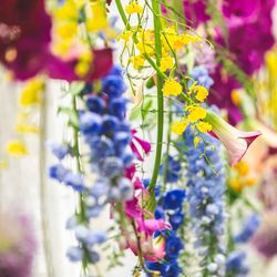 アルカンシエル ベリテ 大阪の写真33枚目