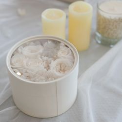 アルジェントの写真34枚目