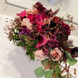 アルジェントの写真12枚目