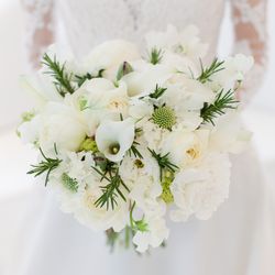 アルジェントの写真19枚目