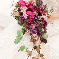 アルジェントの写真31枚目