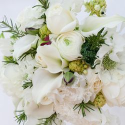 アルジェントの写真19枚目