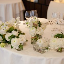 アルジェントの写真7枚目