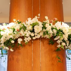 アルジェントの写真31枚目