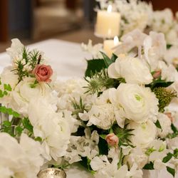 アルジェントの写真7枚目