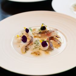 アルジェントの写真21枚目