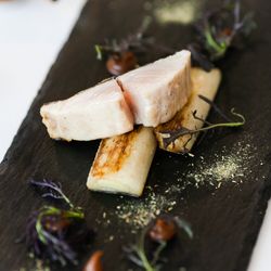 アルジェントの写真34枚目