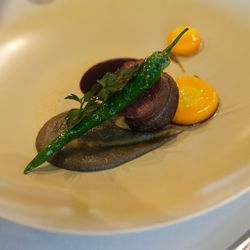 アルジェントの写真11枚目