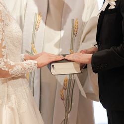 アルジェントの写真18枚目