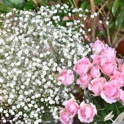 グランドオリエンタル みなとみらいの写真16枚目