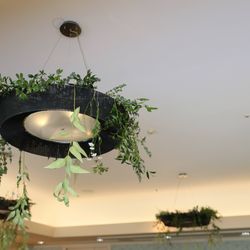 ホテルエピナール那須の写真6枚目