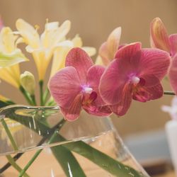 エネコ東京の写真24枚目