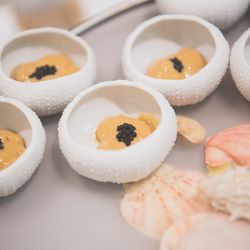 エネコ東京の写真36枚目