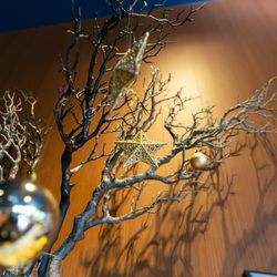 Mia Viaの写真12枚目