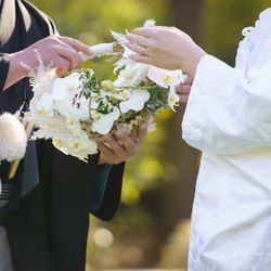 ザ・ガーデンオリエンタル大阪の写真11枚目