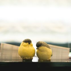 迎賓館の写真8枚目