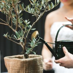 迎賓館の写真18枚目