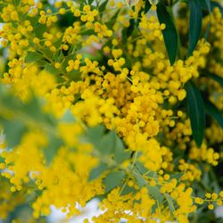 THE BEACHの写真19枚目