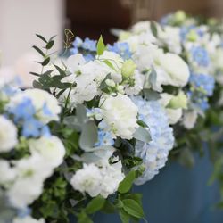 SOLA KOBEの写真31枚目