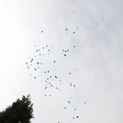 Mia Viaの写真17枚目