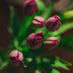 古我邸の写真25枚目