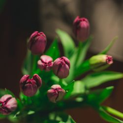 古我邸の写真25枚目