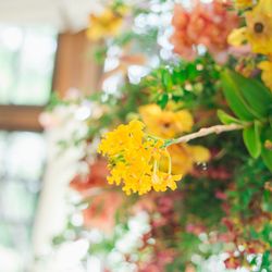 古我邸の写真33枚目