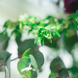 古我邸の写真34枚目