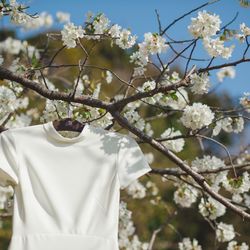 古我邸の写真33枚目
