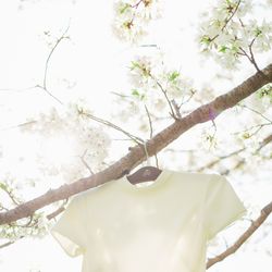 古我邸の写真26枚目