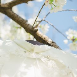古我邸の写真7枚目