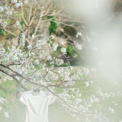 古我邸の写真17枚目