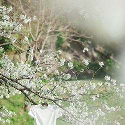 古我邸の写真10枚目