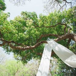 古我邸の写真7枚目